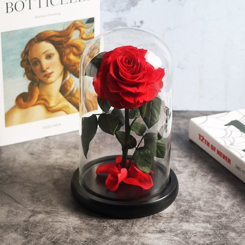 Beauty And The Beast Red Rose In A Glass Dome On Rose Living Room Bedroom Table Decorations Valentines Day Gifts Birthday Gifts ► Photo 1/6