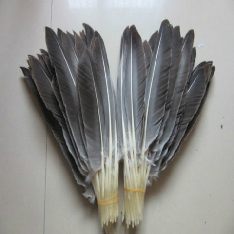 Perfect! hot 50pcs/lot 12-14inches / 30-35cm Natural wild turkey tail feathers crafts for Christmas wedding Decoration ► Photo 1/1