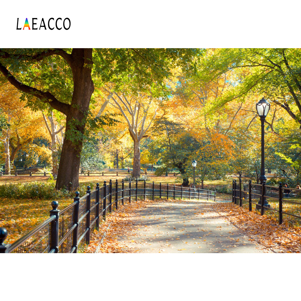 Laeacco Photo Backdrops Fallen Leaves Park Way Corner Tree Child Natural Autumn Scenic Photographic Backgrounds For Photo Studio ► Photo 1/6