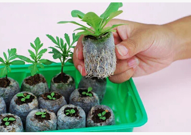 30pcs,25mm jify peat Planting,cutting,garden supplies,seed starter,vegetable seeds pellete.new planter,spring need ► Photo 1/5