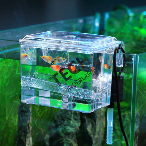 New Arrival 2 Size Wall Rack Aquarium Fish Tank Isolation Box With Water Pump Or  Aquarium Box Large Incubation Box ► Photo 1/1