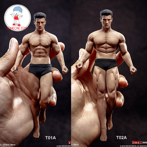 In Stock TBLeague 1/12 Super-Flexible Male Seamless Body Action Figure With Head Sculpt TM01A /TM02A Fitness Suntan Skin ► Photo 1/6