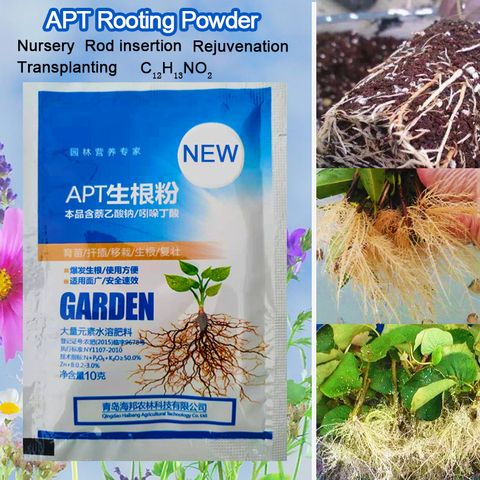 IBA Bonsai Plant Growth Root Medicinal Hormone Regulators Growing Seedling Recovery Germination Vigor Aid Fertilizer Garden ► Photo 1/6