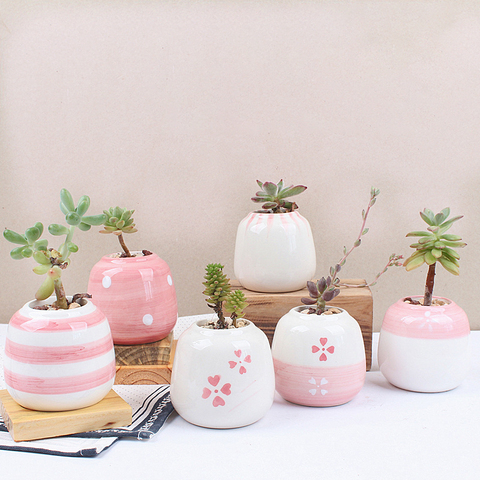 Set of 6 Mini Ceramic Succulent Plant Pot Handmade Pink Porcelain Desktop Planter Home Decor Flower Pot Bonsai Planter ► Photo 1/6