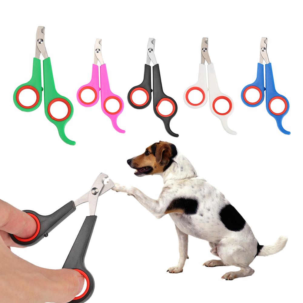 Pet Dog Cats Bird Toe Claw Scissors Clippers Stainless Steel Grooming Nail  Clippers Scissors Dog Nail Trimmer Cut Nail - Price history & Review |  AliExpress Seller - Shenzhen Moonlight Houseware Co.,