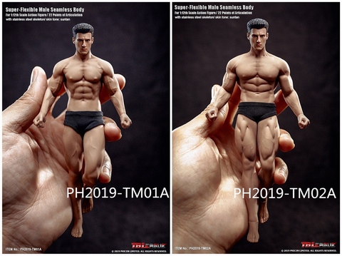 TBLeague Phicen TM01A & TM02A 1/12th Scale Super Flexible Male Seamless Body ► Photo 1/1