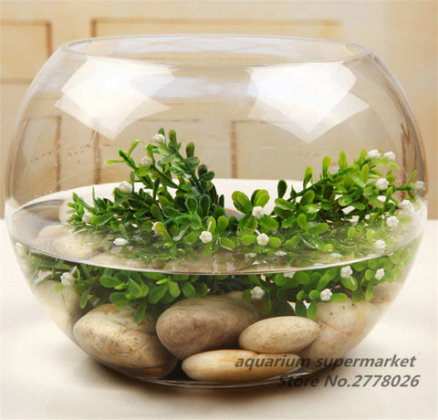 1PCS Round Clear Glass Fish Tank Hydroponic Fleshy Micro Landscape
