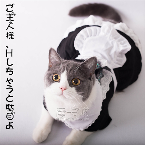 Pet sweet clothes cat clothes cat maid uniforms dress Japan Polyester cotton dress ► Photo 1/1