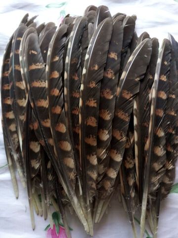 wholesale Scarce 10pcs Quality natural Pheasant feathers  20-25cm / 8-10inch ► Photo 1/2