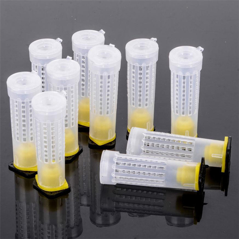 30 Sets 78 mm Bee Queen Cage Protection Queen Base + protection networkBee Cage Bee Equipment Beekeeping Tools Insectary Box ► Photo 1/6