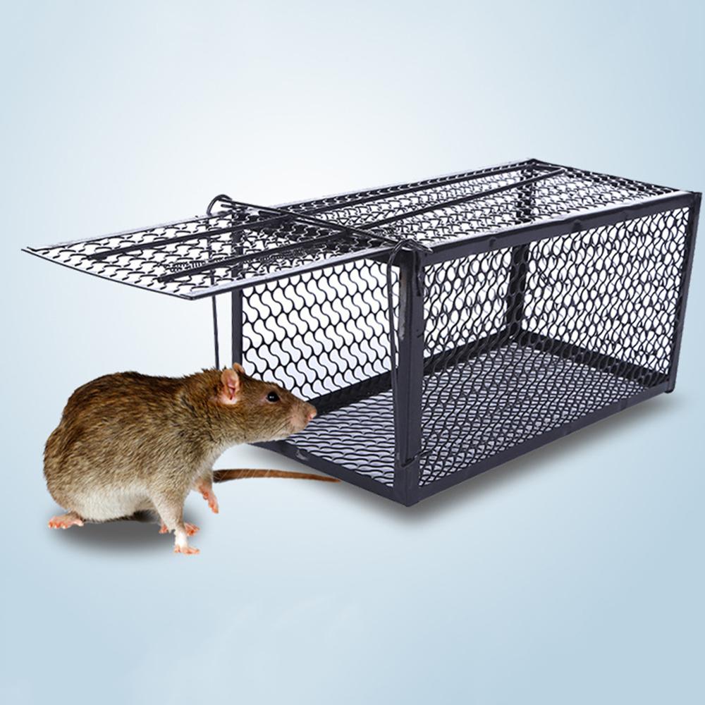Reusable Small Smart Mousetrap Mice Piege Rat Trap Rodent Catcher Mousetrap  Live Mouse Trap Humane Clear No Kill Pest Control - AliExpress