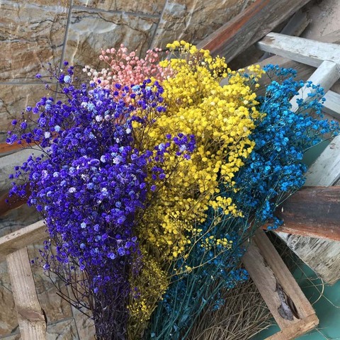 Buy Online 30 35cm Babysbreath Natural Fresh Dried Preserved Flowers Real Forever Baby Breath Flower Branch For Diy Eternal Flower Material Alitools Buy Online 30 35cm Babysbreath Natural Fresh Dried Preserved Flowers Real Forever Baby Breath Flower Branch For Diy Eternal Flower Material Alitools