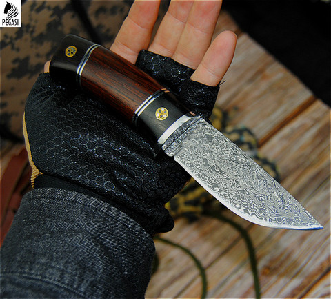 PEGASI Damascus outdoor hunting knife tactics straight knife outdoor camping Damascus knife ebony handle straight knife ► Photo 1/6