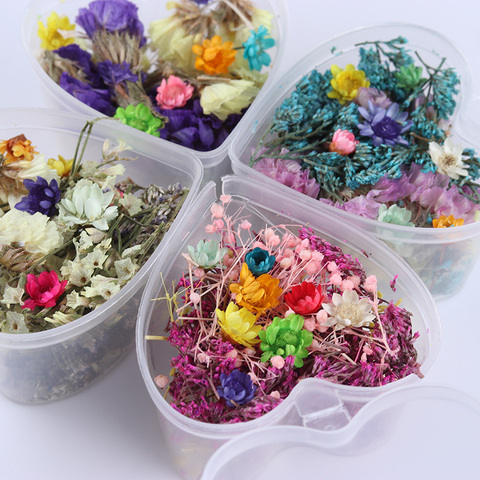 Cheap Mix Dried Flowers Nail Decorations Natural Floral Leaf