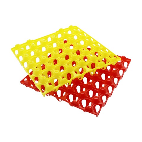 10 Egg tray 29 * 29 * 5cm 30 egg storage rack Chicken farming equipment Incubator Free shipping ► Photo 1/6