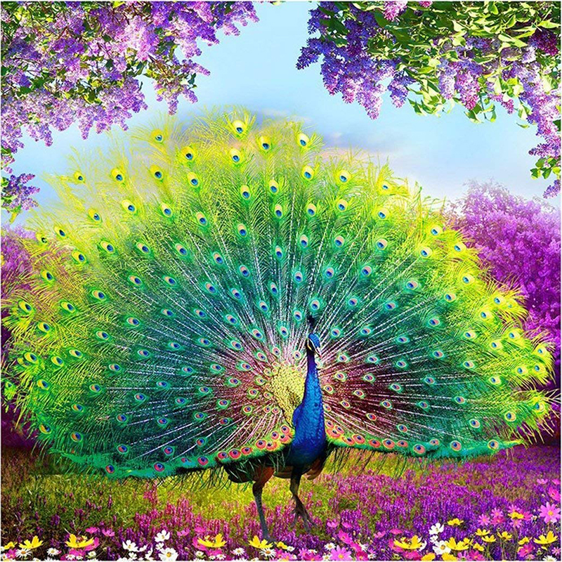 5D DIY Full Drill Diamond Painting Peacock Cross Stitch Embroidery Mosaic