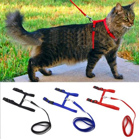 Cat Dog Collar Harness Leash Adjustable Nylon Pet Traction Cat Kitten Halter Collar gato Cats Products Pet Harness Belt ► Photo 1/6