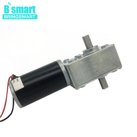 Bringsmart 12V Electric Gear Motor Double Shaft 24V DC Worm Motor High Torque Reducter Reversed Gearbox Engine Motor A58SW31ZYS ► Photo 1/6