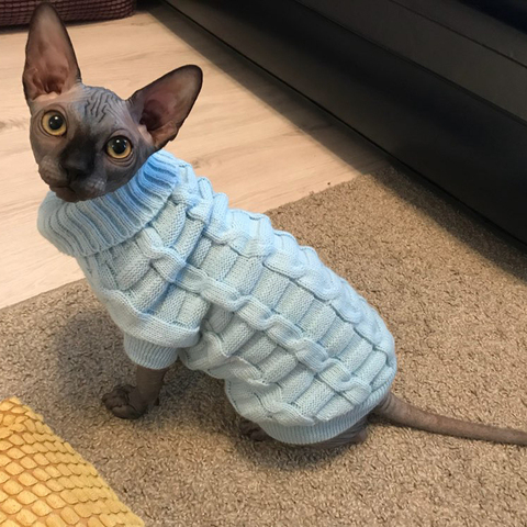 Leisure Pet Cat Sweater Winter Warm Cotton Cat Clothes for Small Cats Kitten Coat Jacket Kitty Knitted Sweaters Pet Dog Clothing ► Photo 1/6