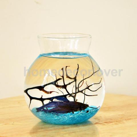 Clear Glass Round Flower Planter Vase Terrarium Container Fish Tank Table Decor ► Photo 1/4