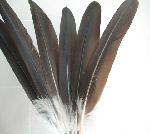 10pcs rare natural eagle feathers 40-45 cm 16-18 inches celebration decoration free shipping ► Photo 1/1