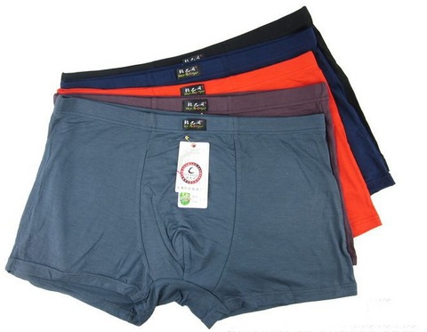 Free shipping Men's boxer shorts 95% bamboo fiber   Men's Sexy Underwear Boxers Shorts Trunks Size 5XL,6XL  underpants 5PCS/LOT ► Photo 1/1