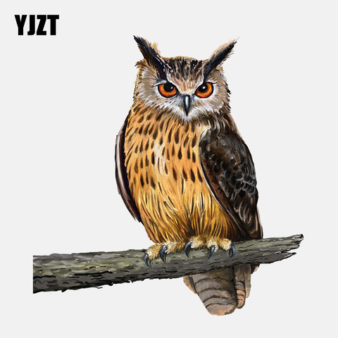 YJZT 15.2CM*15.8CM Owl Standing On A Branch PVC  Window Decoration Car Sticker 11-01331 ► Photo 1/6