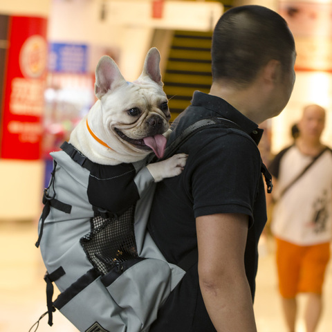 Adjustable Pet Dog Outdoor Travel Backpack For Hiking Cycling Reflective Carrier Bag For Dogs French Bulldog Pug Carrying Bags ► Photo 1/6