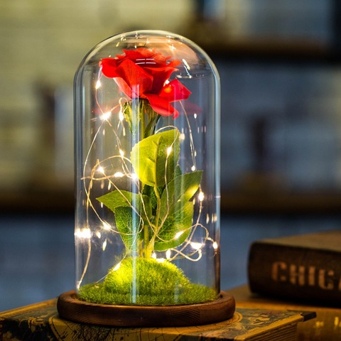 USB LED Beauty Rose and Beast Battery Powered Red Flower String 2022 Valentine's Day Mother's Day Gifts ► Photo 1/6