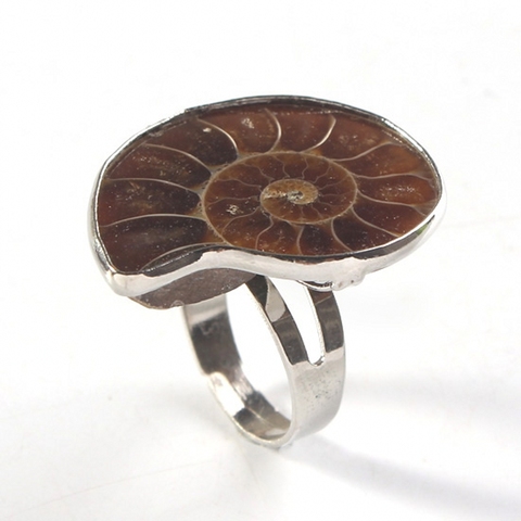 Trendy-beads Unique Silver Plated Adjustable Ammonite Ring Fashion Natural Ammonite Reliquiae Jewelry ► Photo 1/2