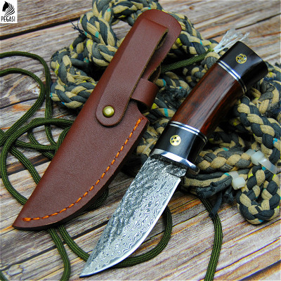 PEGASI Damascus steel round wooden handle outdoor hunting knife high hardness forging straight blade li gifts knives wholesale ► Photo 1/6