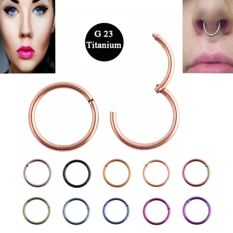 1PC G23 Titanium 16G Nose Rings Hinged Segment Ring Septum Clicker Piercing Nose Earring Tragus Pircing Nariz Body Jewelry ► Photo 1/6
