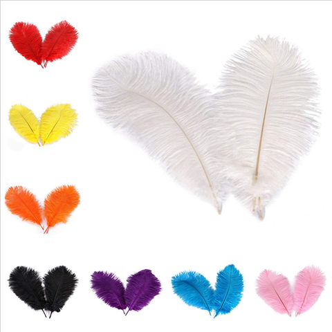 New Hight quality Ostrich Feathers 10Pcs/lot 15-20CM DIY Jewelry  Making Wedding Party decoration plumes and feathers for crafts ► Photo 1/6