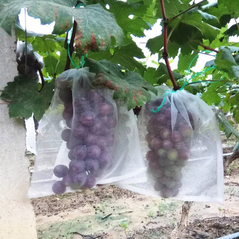 50PCS Fruit Vegetable Insert Protection Grow Bag Anti Bird Plant Protective Bag Drawstring Nylon Mesh Agricultural Pest Control ► Photo 1/6