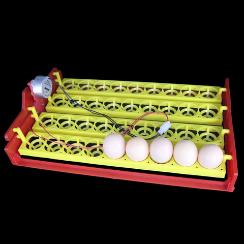 New 36 Eggs Automatic Incubator Turn The Eggs Tray Chicken Pheasant Tray Automatic Incubator Experimental Teaching Equipment ► Photo 1/6