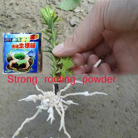 2pcs Flower Strong rooting powder growing roots seedling strong recovery root vigor germination aid fertilizer Garden medicine ► Photo 1/6
