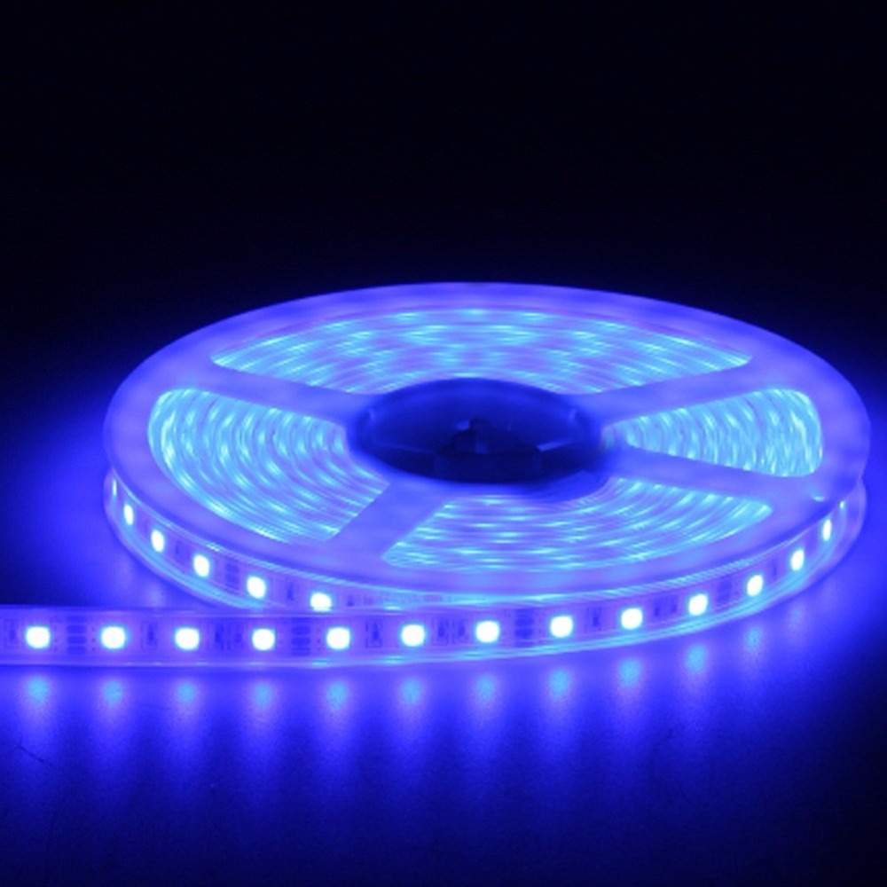 IP67 IP68 Waterproof Under Water LED Strip Light 5050 DC12V Silicon Tube Outdoor 
