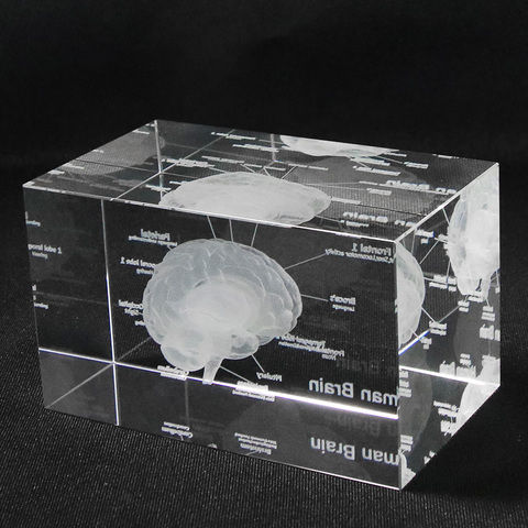 3D Human Anatomical Model Paperweight Laser Etched Brain Crystal Glass Cube Anatomy Mind Neurology Thinking Medical Science Gift ► Photo 1/6