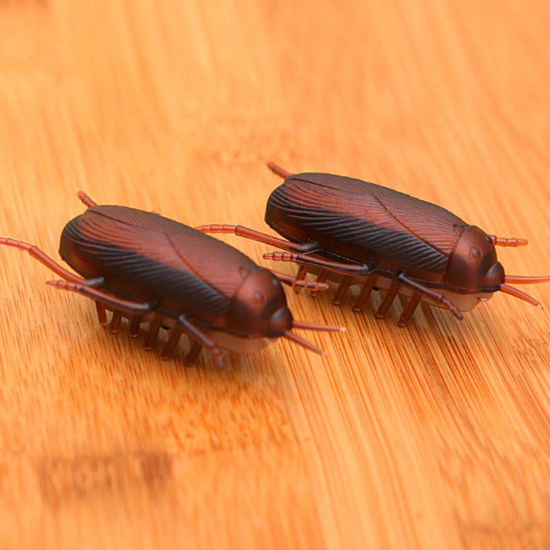 Electronic Trick-Playing Toy Simulation Insect Crawl Cockroaches/ Mouse Vibration Toys @ AN88 - Price history & Review | AliExpress Seller - Toys dropping Store | Alitools.io Electronic Trick-Playing Toy Simulation Insect Crawl Cockroaches/ Mouse Vibration Toys @ AN88 - Price history & Review | AliExpress Seller - Toys dropping Store | Alitools.io