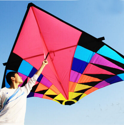 Free shipping high quality large delta kite flying toys ripstop nylon sport kite reel dragon kite cerf volant parachute octopus ► Photo 1/3
