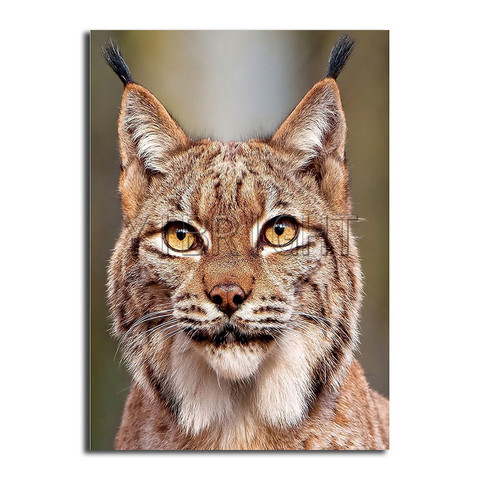 Diamond Paintings Cross Stitch Full Round Diamond Embroidery Square Painting Animal Cats Lynx Mosaic Decoration For Home Y3 ► Photo 1/6