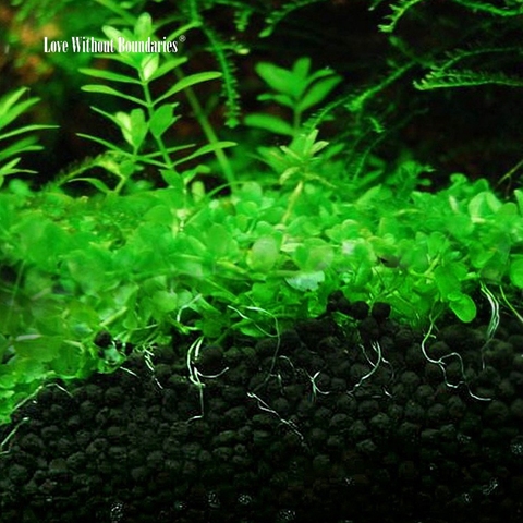 High quality water grass mud ball DIY Beautiful aquarium fish tank
