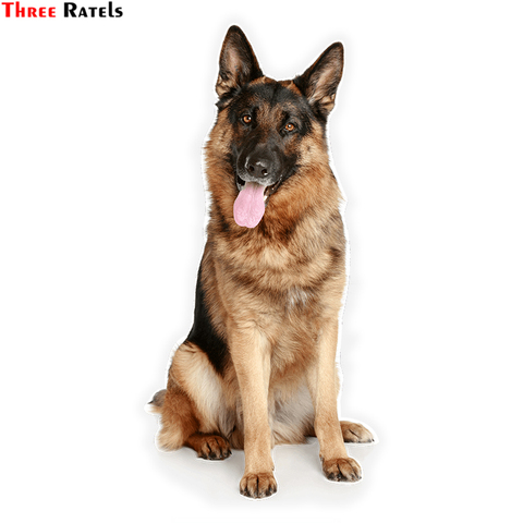 Three Ratels LCS354# 7.5x15.3cm German Shepherd colorful car sticker funny  stickers styling removable decal ► Photo 1/6