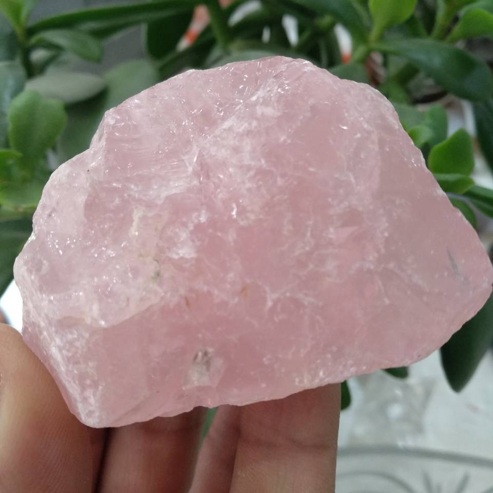 Raw Reiki Love Healing 16 oz 1 lb Bulk Lot Natural Rough Rose Quartz Crystals 