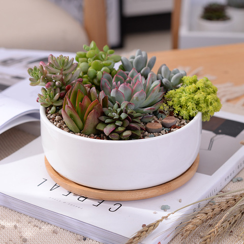 1 Set Minimalist White Ceramic Succulent Plant Pot Porcelain Deep Rounded Pot Desktop Pot Zakka Home Decor (1 Pot + 1 Tray) ► Photo 1/6