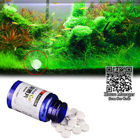 60pcs CO2 Tablet for Waterweed Water Grass Aquarium Plants aquatic leaf float grass, CO2 Carbon dioxide slice diffuser producer ► Photo 1/6