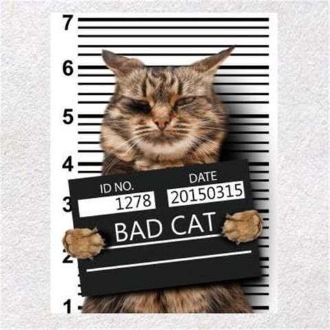 Fashion Cute Patch Clothes 247mm BAD CAT 3d stickers fabric Thermal Transfer Printing Iron on patches for clothing T shirt Women ► Photo 1/6