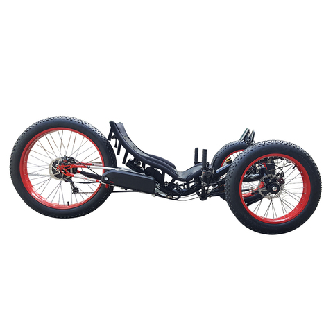 Outdoor Fun Drifting Off-road 500watt Motor Fat Tire