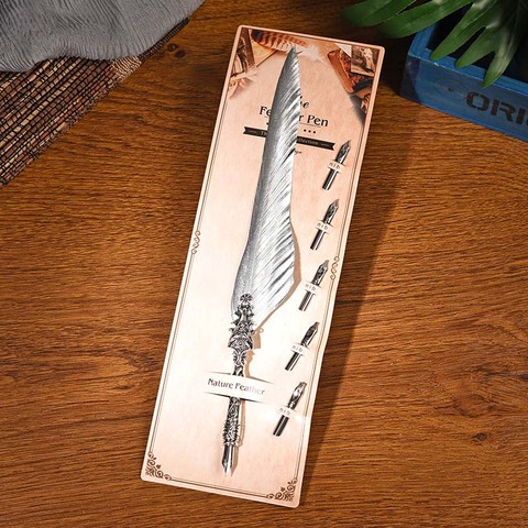 BNB Silver Feather Pen + Metal 5Pcs Nibs Set Retro Gold Feather Fountain Pen Student Office Supplies Fountain Pen Birthday Gift ► Photo 1/6