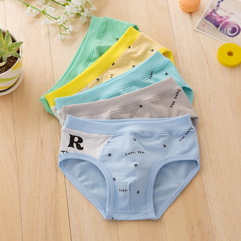 5 Pcs/Lot Boys Briefs Underwear Organic Cotton Shorts Panties